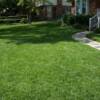 Lawn rennovated with grass seed
